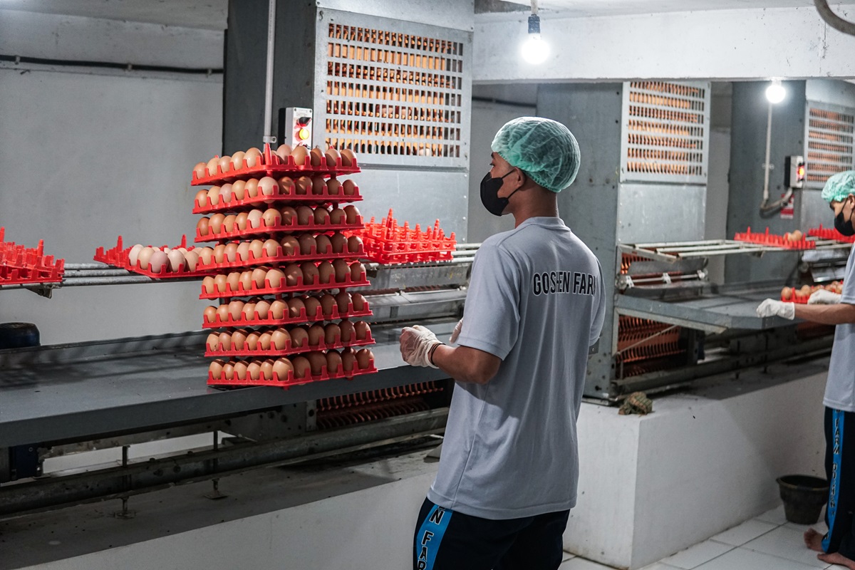 Concrete Developments